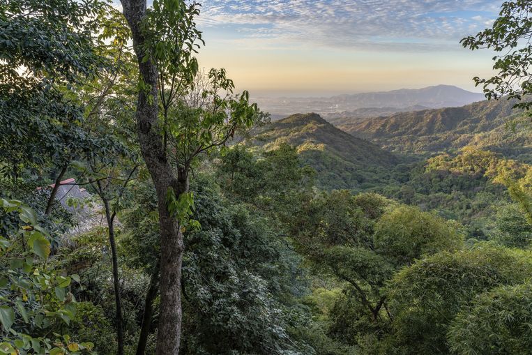 It often turns out that carbon dioxide compensation is a joke.  “A way to deceive ourselves”