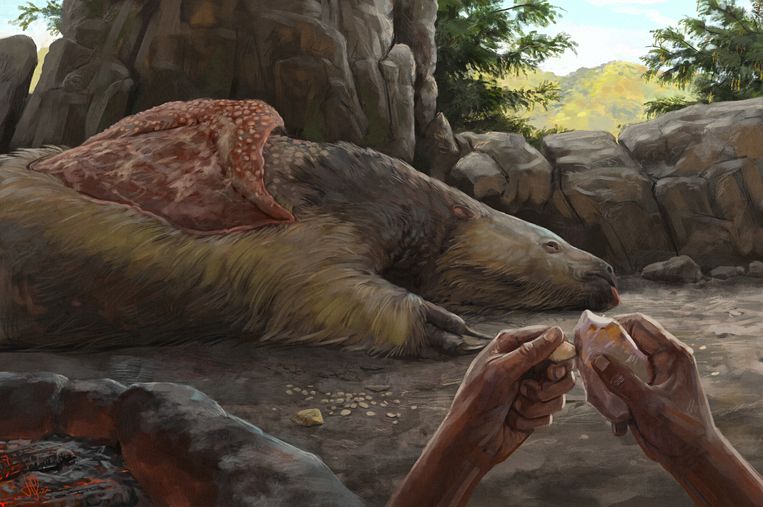 A hole in the bone of a giant sloth that reverses Brazil’s first Homo sapiens