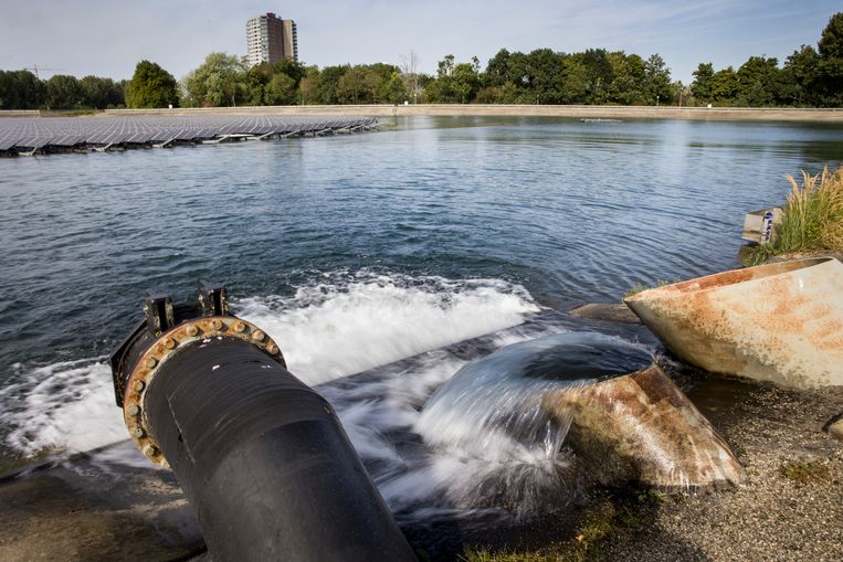Drugs en medicijnen in het rioolwater verstoren waterleven | DrugsForum