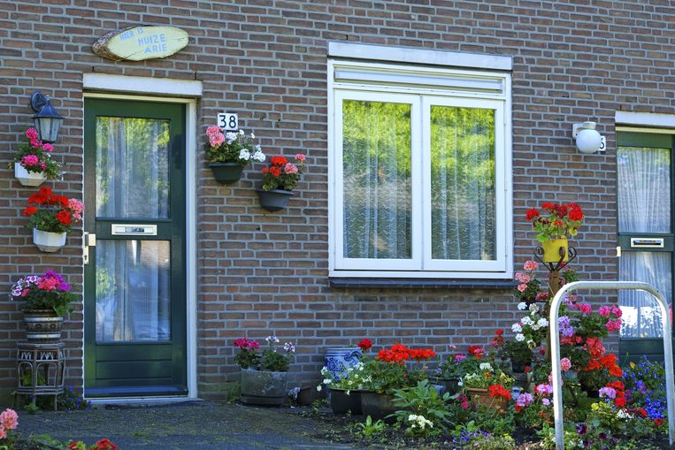 Private landlords massively violate the rental rules Archyde